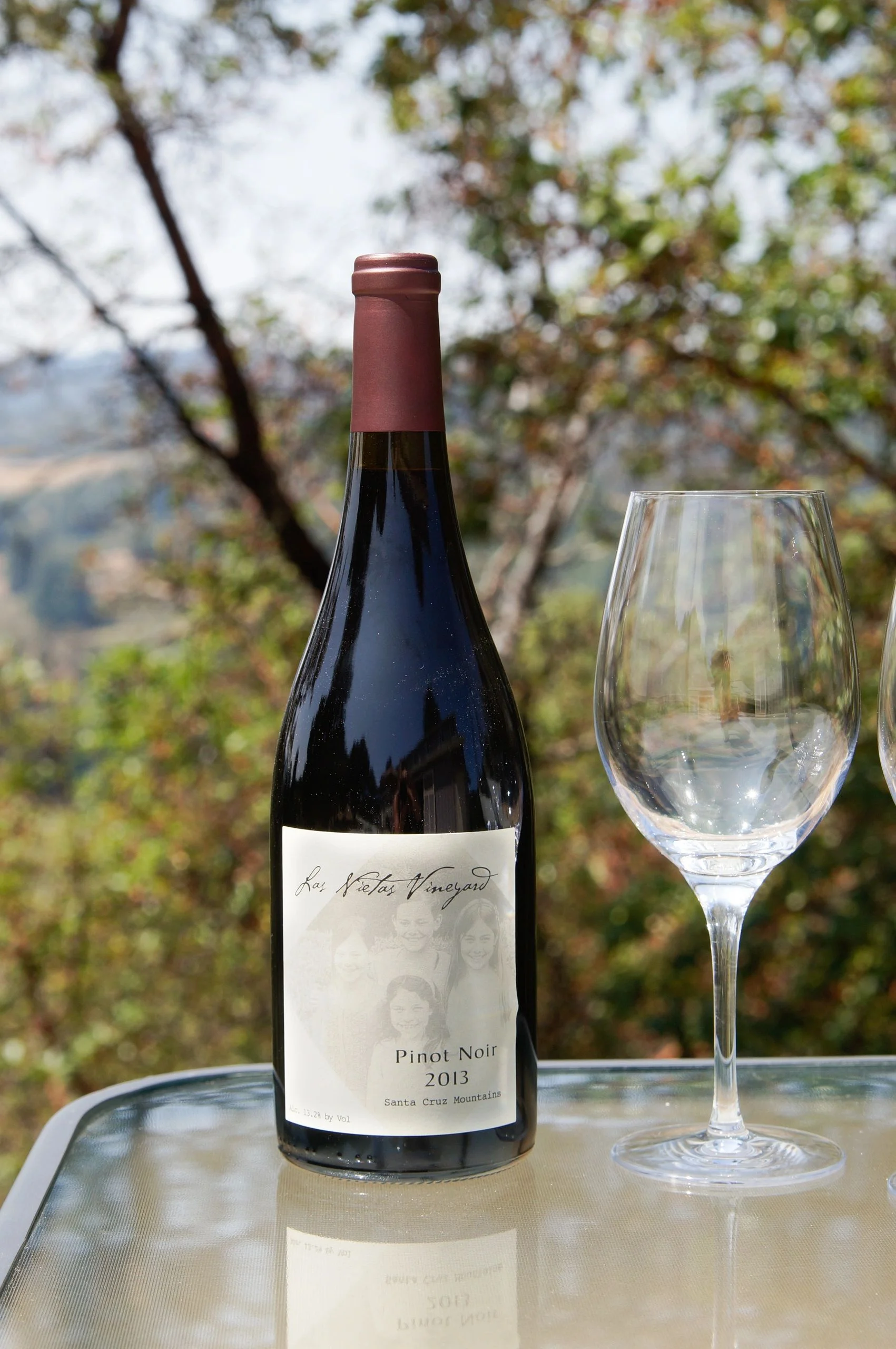 Award-Winning 2013 Pinot Noir — Las Nietas Vineyard